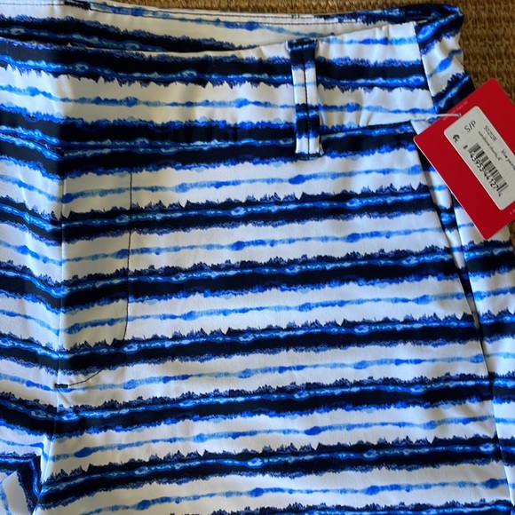 NWT! SPANX sunshine short. Blue painted stripe. Inseam: 4”=S&M. 6”=XL. $68 - Picture 5 of 15